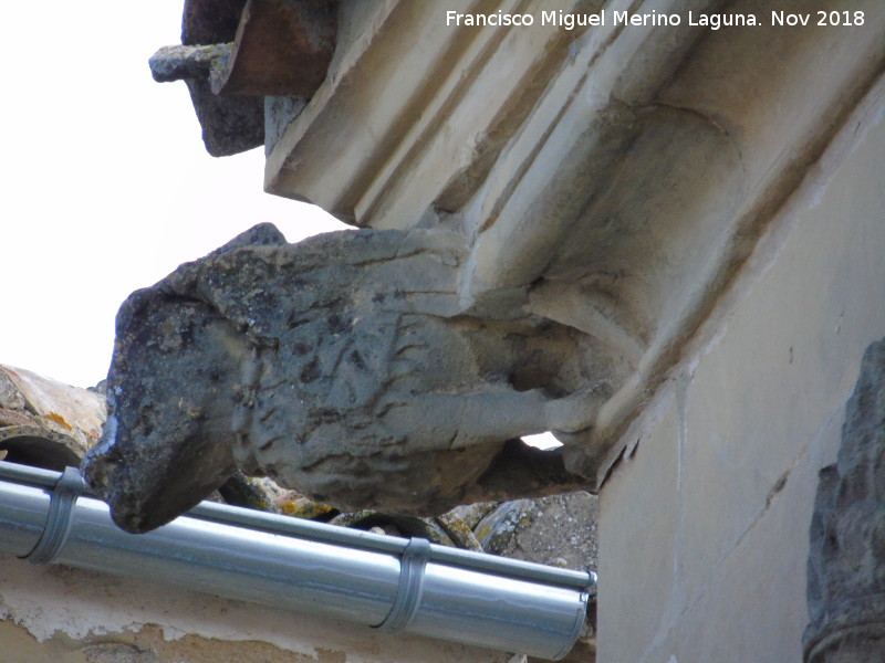 Palacio de los Salcedo - Palacio de los Salcedo. Grgola