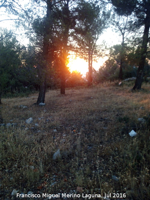 Ocaso - Ocaso. Cerro San Cristbal - Jan