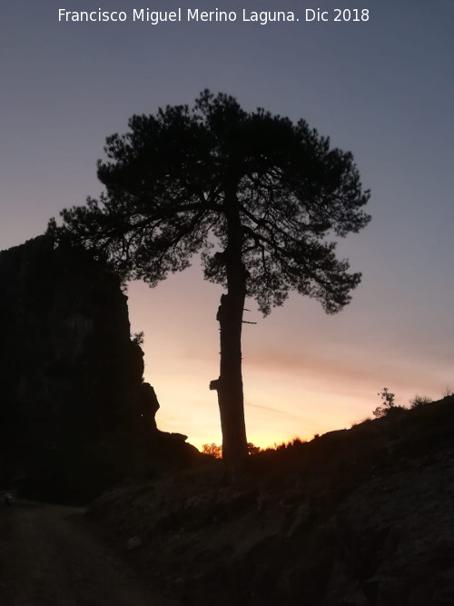 Ocaso - Ocaso. Estrecho de los Perales - Cazorla