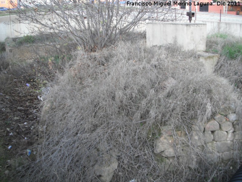 Noria de la Huerta de Don Lzaro - Noria de la Huerta de Don Lzaro. 