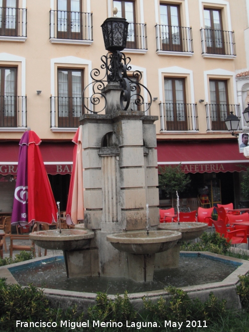 Fuente de la Plaza Virgen del Amparo - Fuente de la Plaza Virgen del Amparo. 