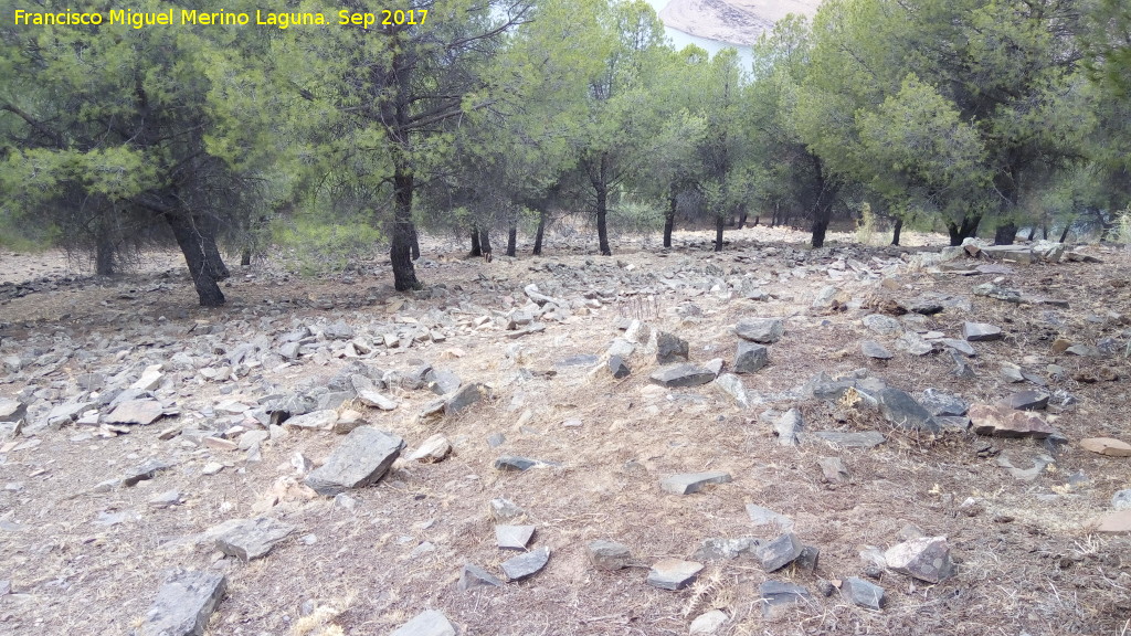 Vernica - Vernica. Restos en la ladera sur