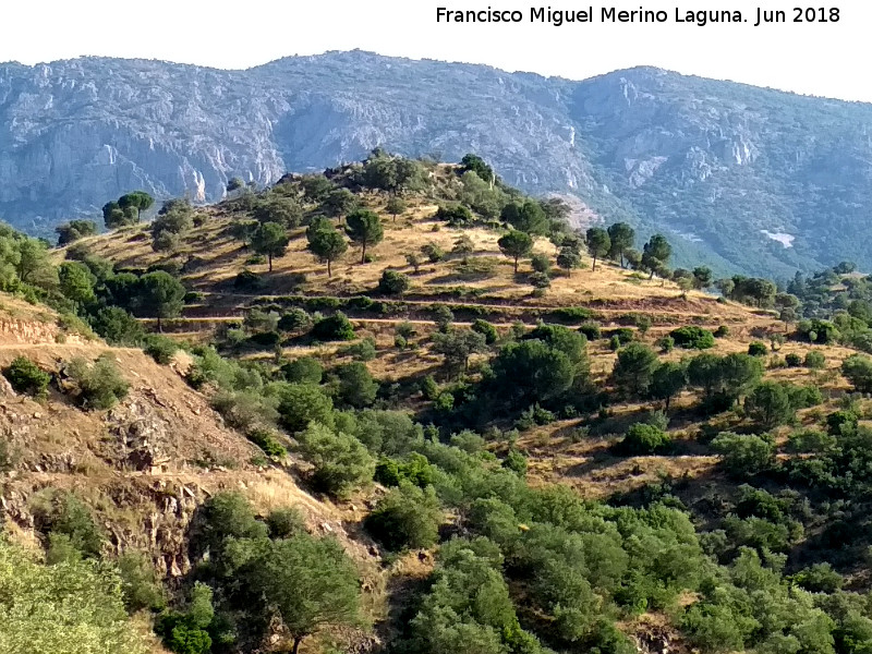 Cerro del Plomo - Cerro del Plomo. Desde el sur