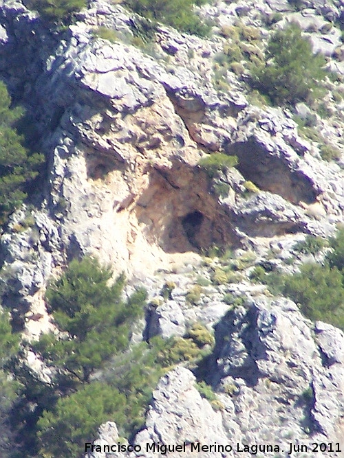 La Mantilla - La Mantilla. Abrigo