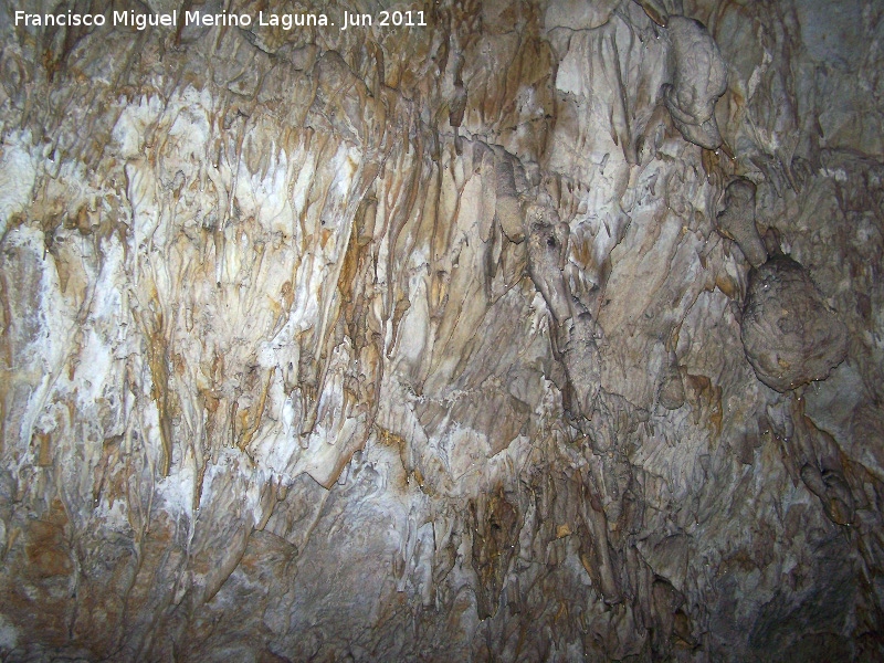 Cueva de La Hoya - Cueva de La Hoya. 