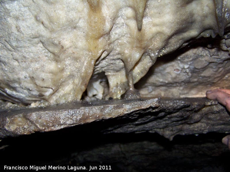 Cueva de La Hoya - Cueva de La Hoya. 