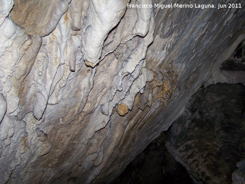 Cueva de La Hoya - Cueva de La Hoya. 