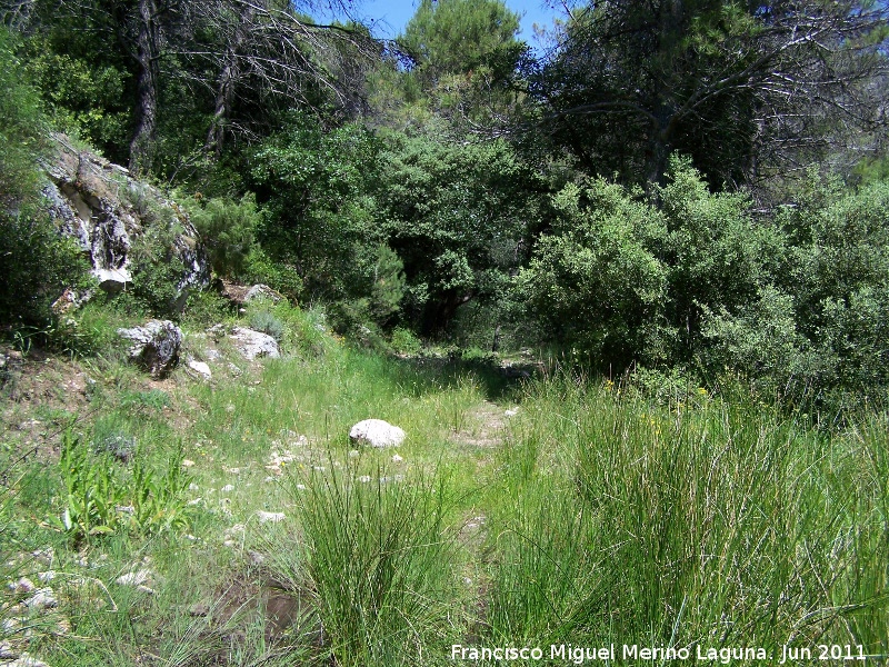 Fuente del Obispo - Fuente del Obispo. Paraje