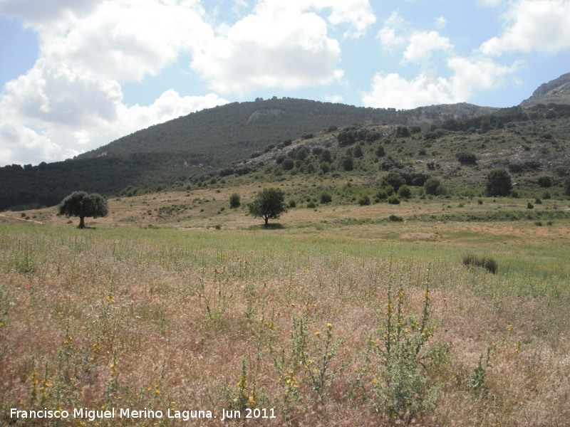 Paraje Fuente de la Zarza - Paraje Fuente de la Zarza. 