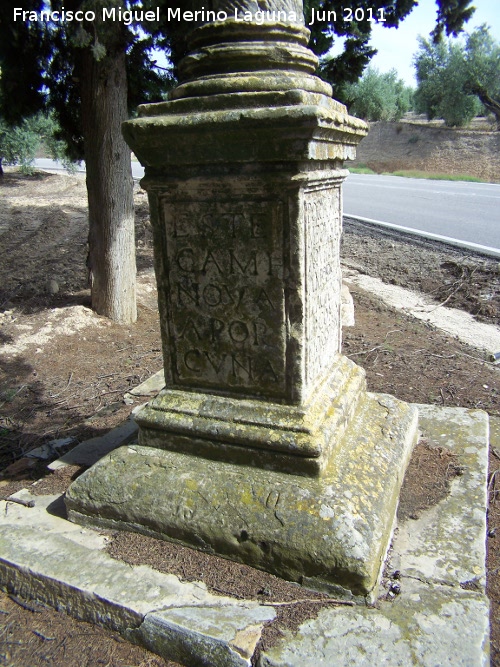 Cruz de Mendoza - Cruz de Mendoza. 