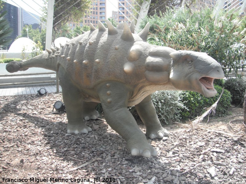 Anquilosaurio - Anquilosaurio. Valencia