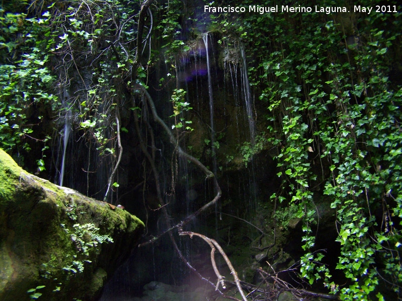 Cueva de Cuadros - Cueva de Cuadros. Cascada del agua sobrante del Molino del Batn