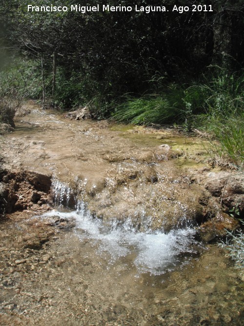 Arroyo del Torno - Arroyo del Torno. Desembocadura