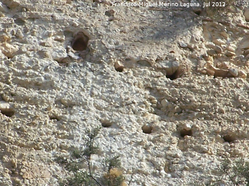 Tapial - Tapial. Castillo de San Jos - Guadalest