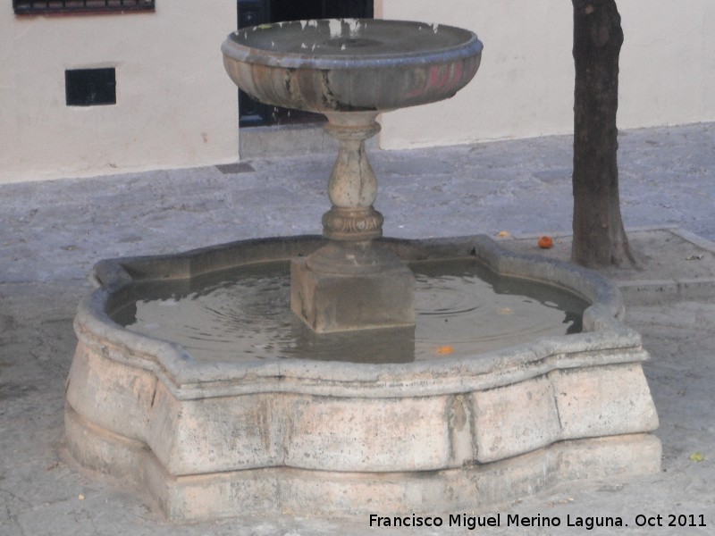 Fuente Baja de San Bartolom - Fuente Baja de San Bartolom. 