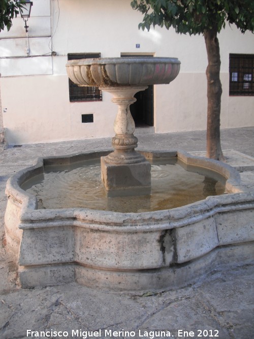 Fuente Baja de San Bartolom - Fuente Baja de San Bartolom. 