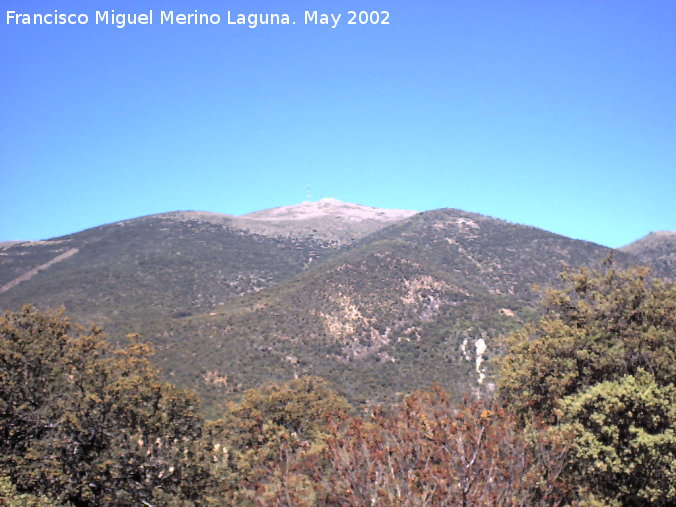 Almadn - Almadn. Desde el camino de Mata Behid que va a Torres, ladera pertenecinte a Cambil