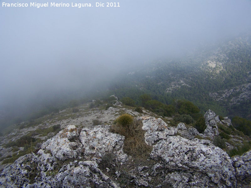 Niebla - Niebla. Puerto del Aire - Jan