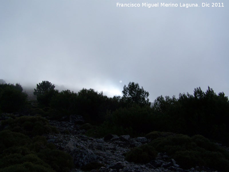 Niebla - Niebla. Puerto del Aire - Jan