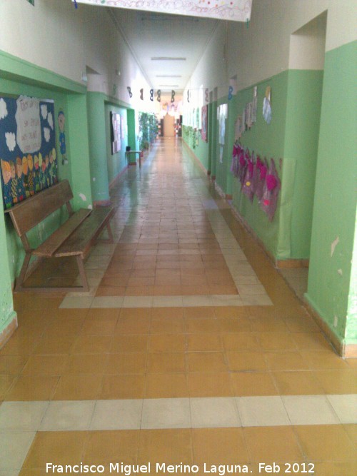 Colegio Pblico Ruiz Jimnez - Colegio Pblico Ruiz Jimnez. Pasillo