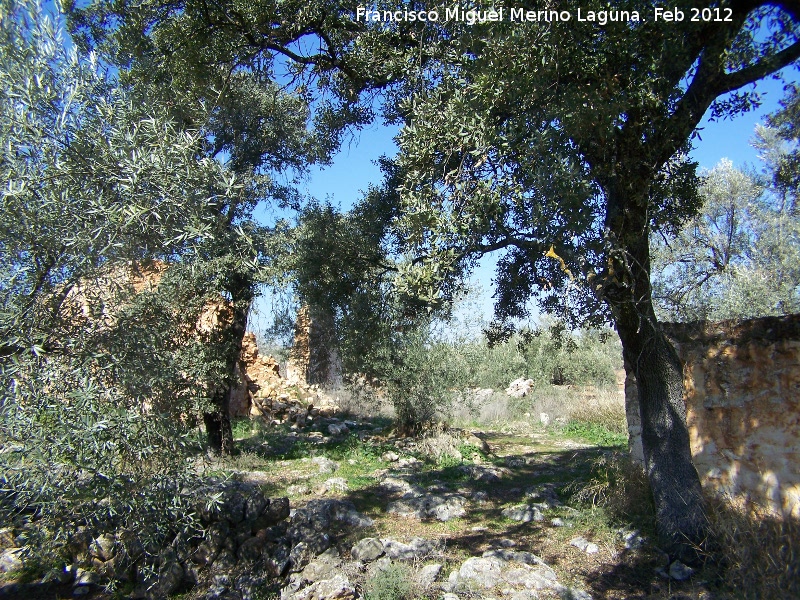 Cortijo de Los Virtudes - Cortijo de Los Virtudes. Entorno