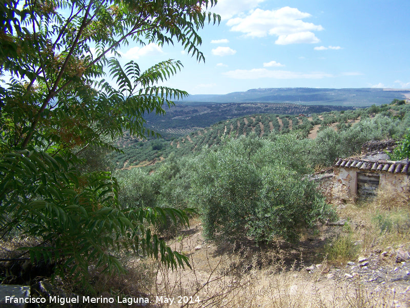 Cortijo de Manuel Garca Lzaro - Cortijo de Manuel Garca Lzaro. Corral