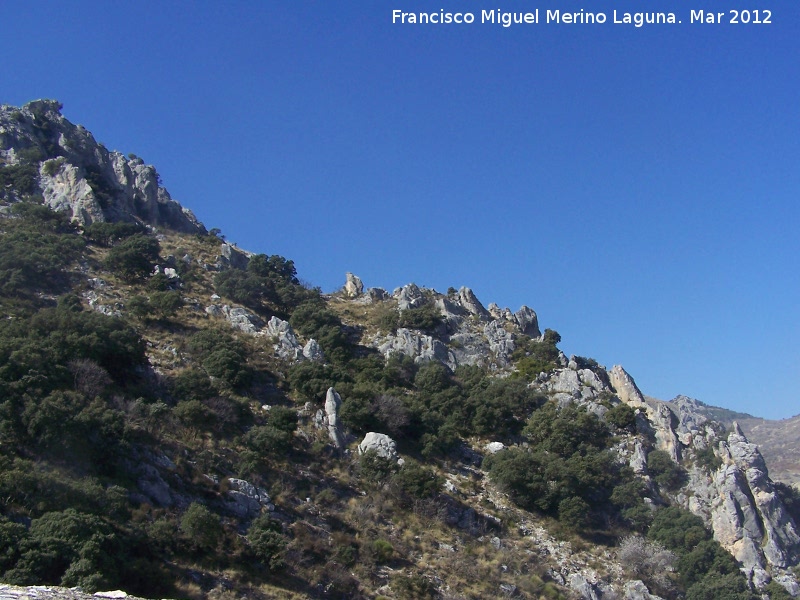 Sierra de los Castillejos - Sierra de los Castillejos. 