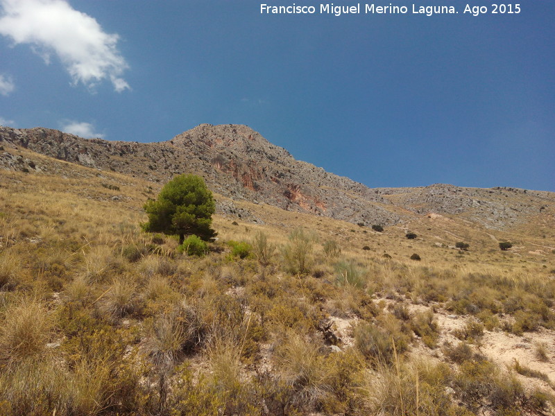 Cerro Alto de la Serrezuela - Cerro Alto de la Serrezuela. 