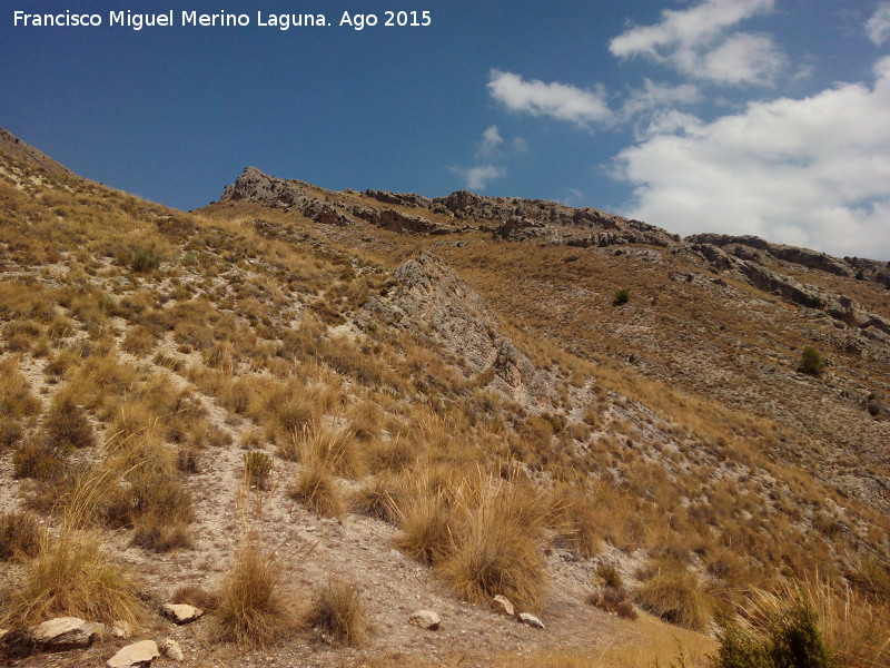 Cerro Alto de la Serrezuela - Cerro Alto de la Serrezuela. Ladera sureste