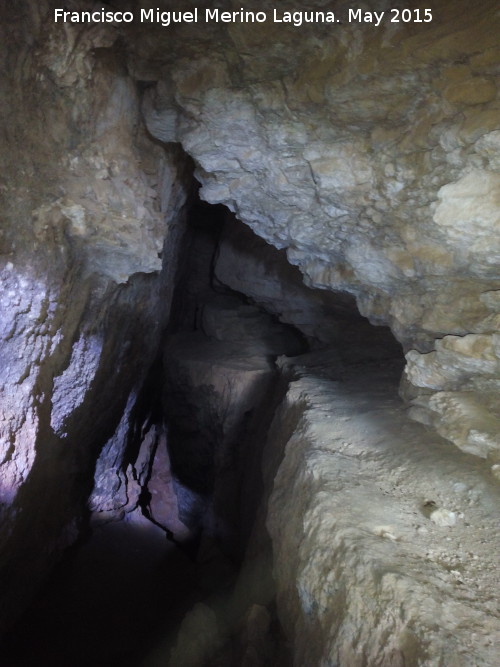 Cueva del Plato - Cueva del Plato. Interior