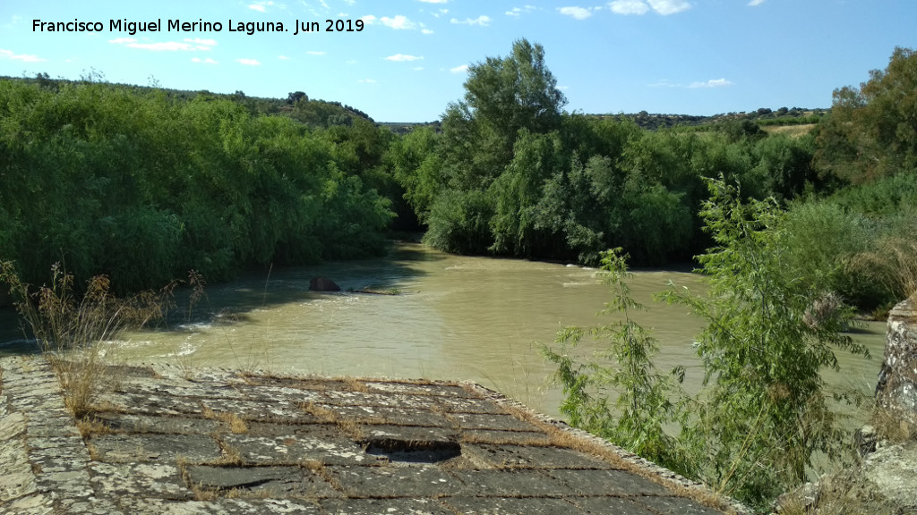 Ro Guadalquivir - Ro Guadalquivir. Desde el tejado del Molino Sur de Casas Nuevas - Marmolejo