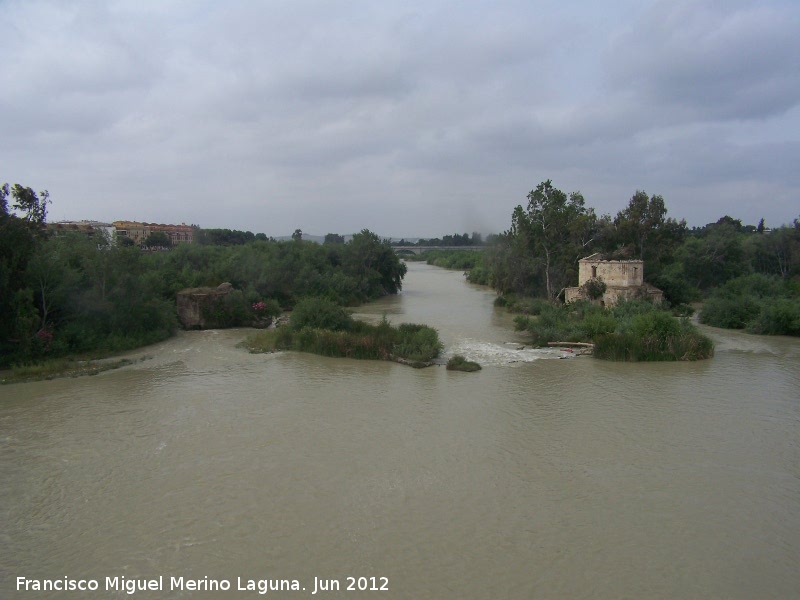 Ro Guadalquivir - Ro Guadalquivir. A su paso por Crdoba