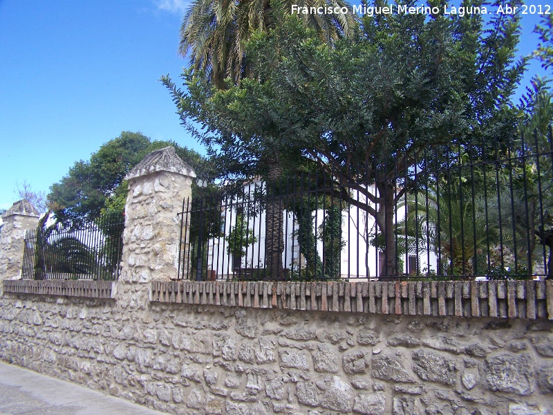 Casa de las Nias - Casa de las Nias. Patios