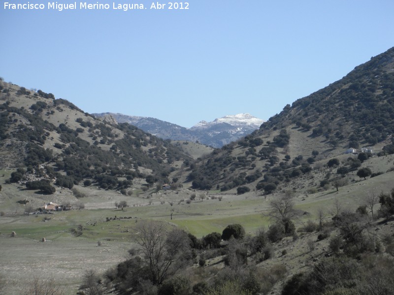 Llano de ngel - Llano de ngel. 