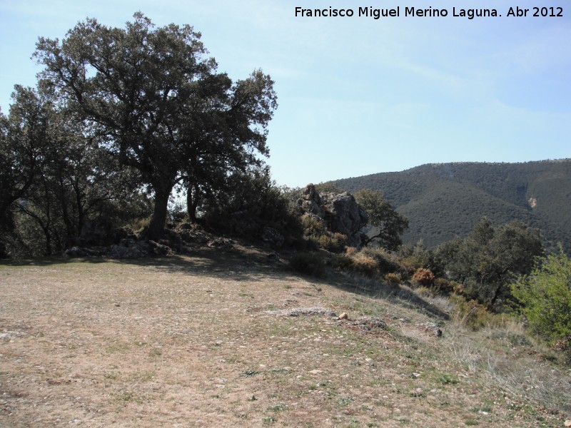 Cortijo Cerrillo de la Cima - Cortijo Cerrillo de la Cima. Vistas