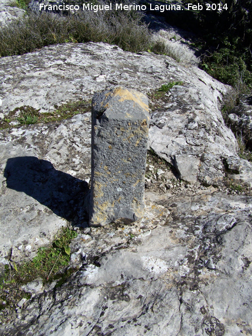 Cerro Castelln - Cerro Castelln. Hito