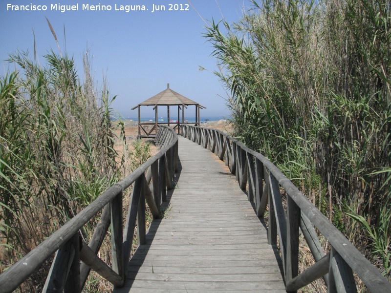 Laguna de Torreguadiaro - Laguna de Torreguadiaro. Pasarelas