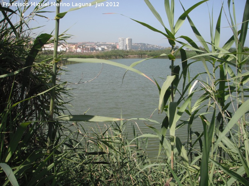 Laguna de Torreguadiaro - Laguna de Torreguadiaro. 