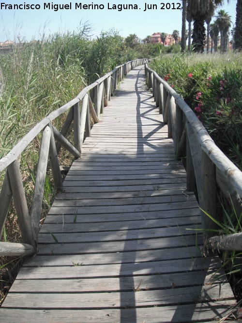 Laguna de Torreguadiaro - Laguna de Torreguadiaro. Pasarela