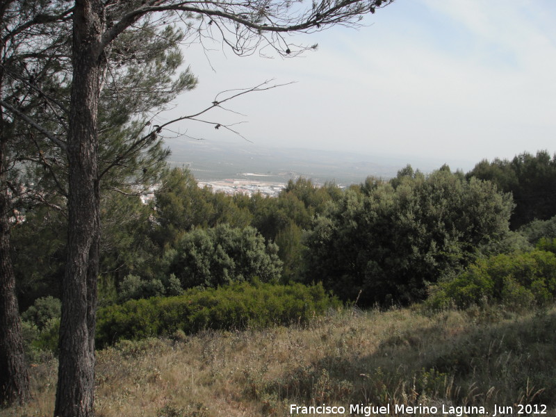 Cerro Miguelico - Cerro Miguelico. Al fondo Torredelcampo