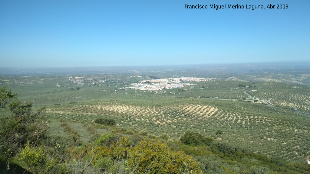 Cerro Miguelico - Cerro Miguelico. Vistas a Torredonjimeno