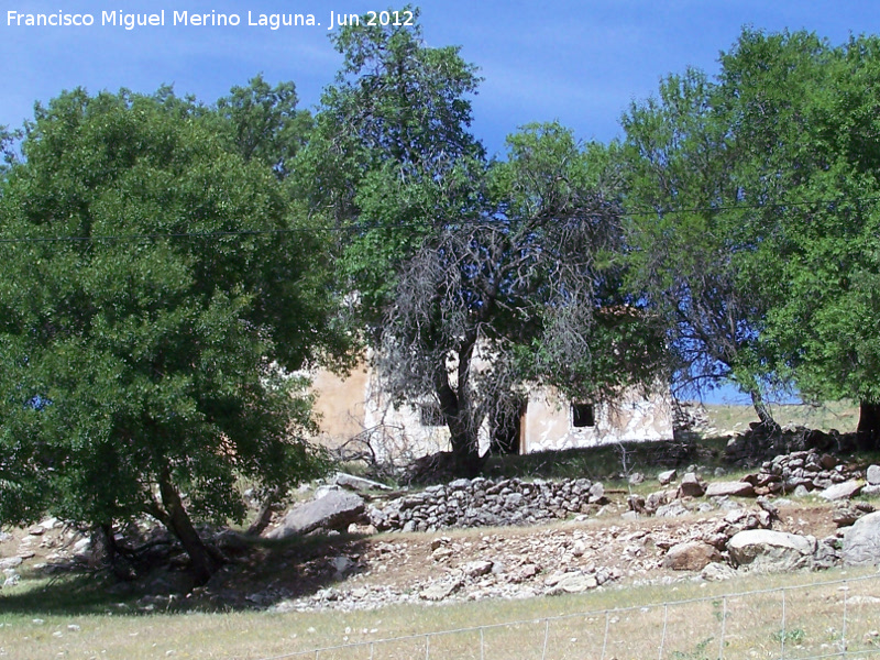 Cortijo Los Chozones - Cortijo Los Chozones. 