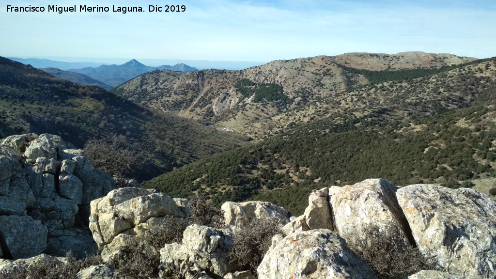 Cerro El Tejuelo - Cerro El Tejuelo. Vistas hacia el Cortijo de las �nimas