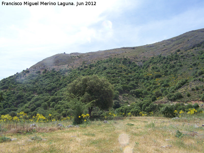 Cerro del Hoyo - Cerro del Hoyo. Cara norte