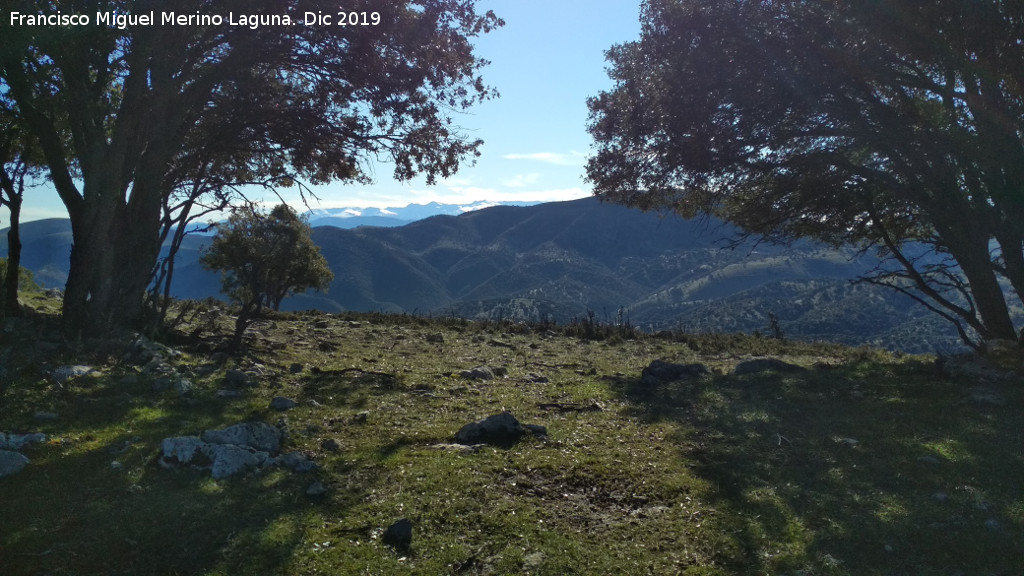 Lomas de Carboneros - Lomas de Carboneros. Vistas hacia Sierra Nevada