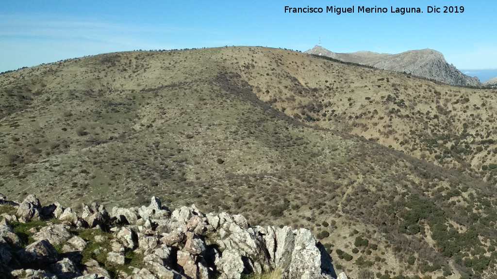 Cerro El Morrn - Cerro El Morrn. Desde el Cerro Los Morales