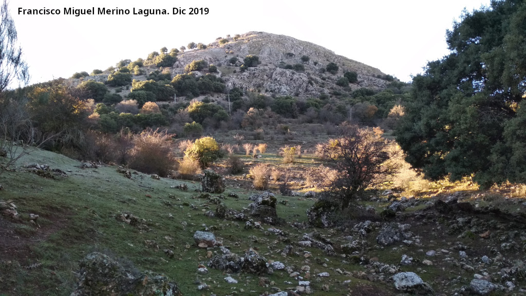 Monte de las nimas - Monte de las nimas. Desde la Trocha de Carboneros