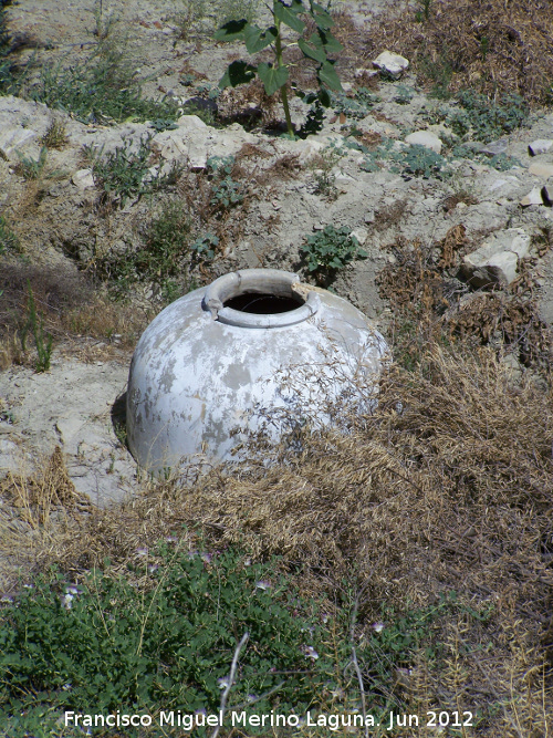 Oppidum Cerro Bollero - Oppidum Cerro Bollero. Silo