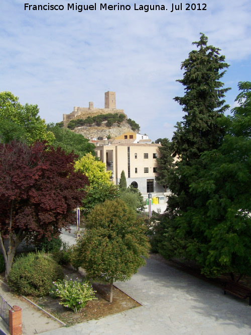 Paseo del Pltano - Paseo del Pltano. 