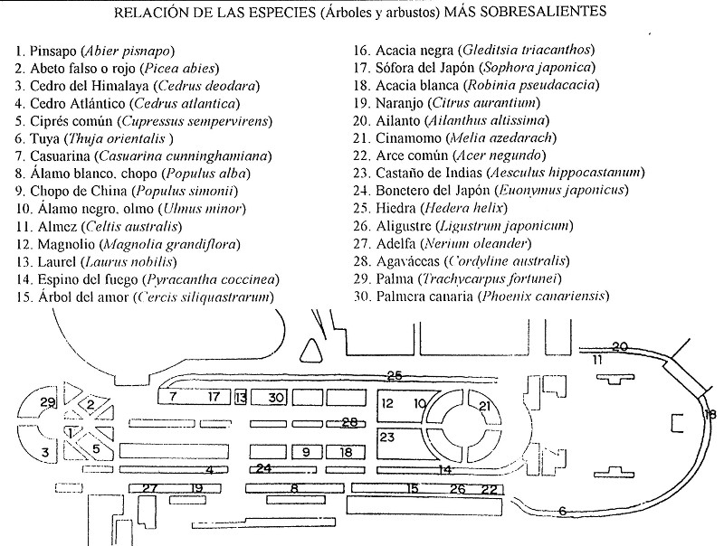 Paseo de la Alameda - Paseo de la Alameda. Plano de especies